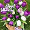 soumyasoman813