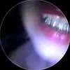 t_bag61