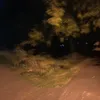 deroidtroja