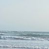 karang_laut225