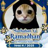 aliyanining2