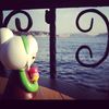 apple_azv