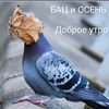 andreypervushkin5