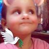 fettouhi.khaled