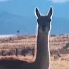 kitaiooo3