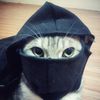 rexsomeone1