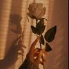 elif_ercan12