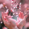 reveiw_nhanh