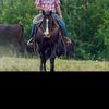jose.estrada598