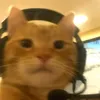 jimielbaloy