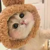 cutest.yy