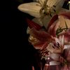 aseelalqahtani22