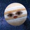 mvanilla_dreamzz