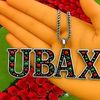 ubax5866