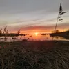 lucas_almenfors