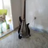 pepe.musico
