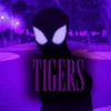 tigers6216