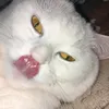 zlioop39699ty