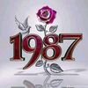wahed8787snina
