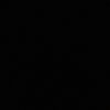 noctvurnal