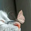 calianacl