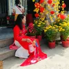 nguyenthicamdan86