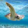 ocean_moviee