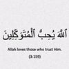 user8226381779293