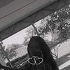 janexjx24