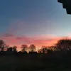 francesca_w888