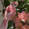 abidchowdhury1111