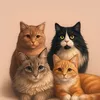 the3cats.cbc