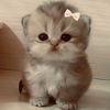 maru_bwhehe