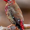 baroudi.abdnbi