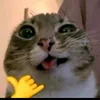user1920819607139