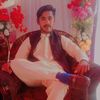 hammadali9650