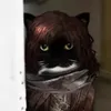 tensa.zangesy