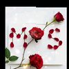 mujahidsorder3