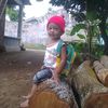 dian08219