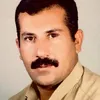 karzan1982