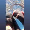 why_nimra_1