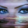 user81528201830844