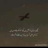 laiba78929