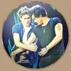 narryslcver