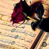 asmaaasmae7530