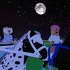 vidas_horses