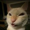 ompadlan