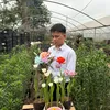 hoaquocvietlytulip