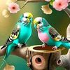 t.h.rifat1