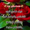 qswqswq